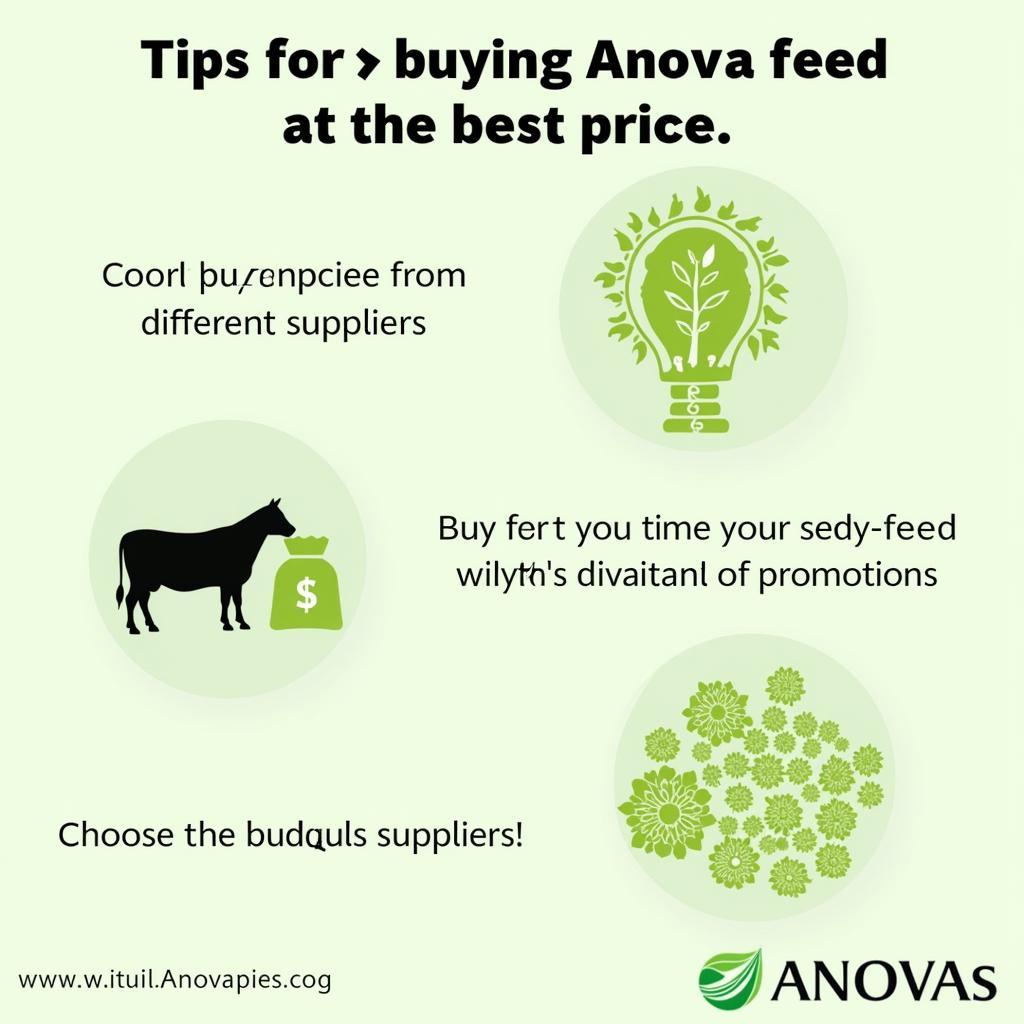 Mẹo Mua Anova Feed Giá Tốt