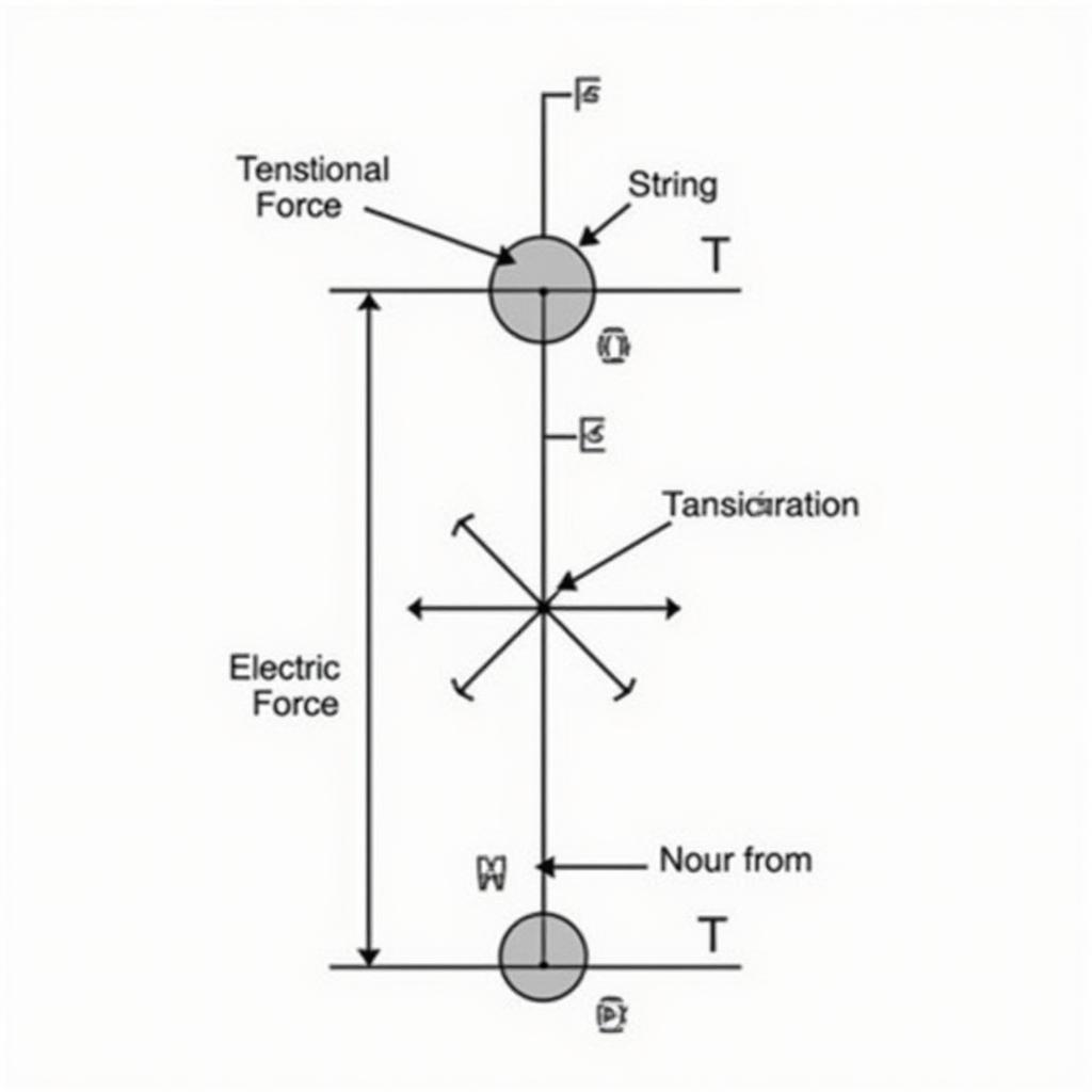 Phân tích lực tác dụng lên con lắc đơn trong điện trường