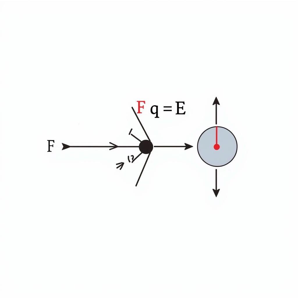 Lực điện tác dụng lên proton